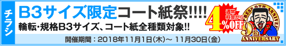 チラシ B3サイズ限定キャンペーン