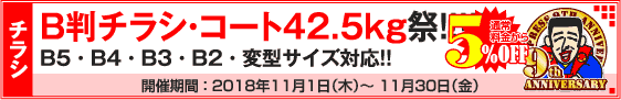 B判チラシ印刷キャンペーン　コート50kg限定!!