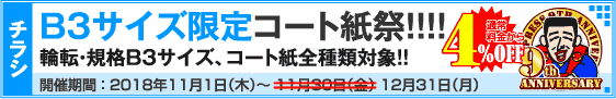 チラシ B3サイズ限定キャンペーン