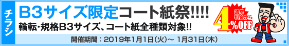 チラシ B3サイズ限定キャンペーン