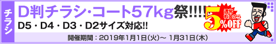 D判チラシ印刷キャンペーン　コートD判57kg限定!!