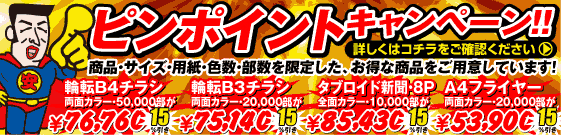 ピンポイントキャンペーン