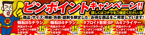 ピンポイントキャンペーン