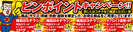 ピンポイントキャンペーン