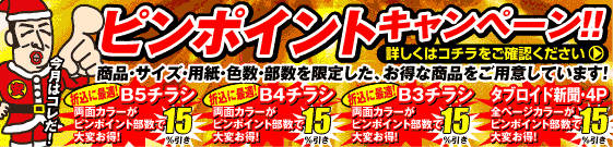 ピンポイントキャンペーン