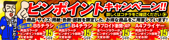 ピンポイントキャンペーン