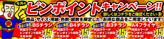 ピンポイントキャンペーン