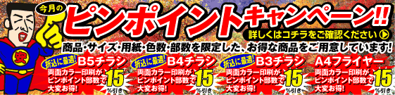 ピンポイントキャンペーン