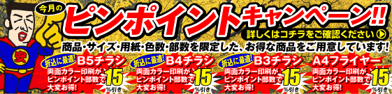 ピンポイントキャンペーン