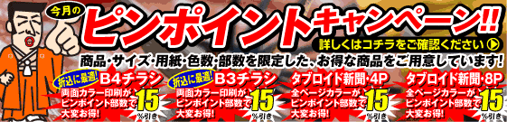 ピンポイントキャンペーン