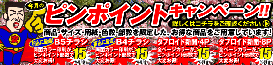 ピンポイントキャンペーン