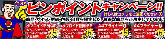 ピンポイントキャンペーン