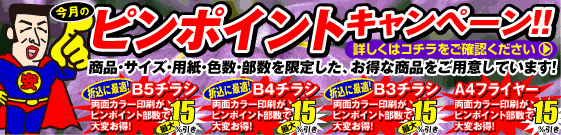 ピンポイントキャンペーン