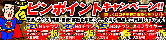 ピンポイントキャンペーン