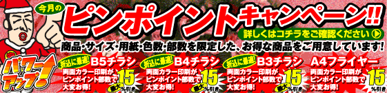 ピンポイントキャンペーン