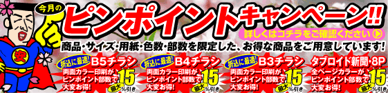 ピンポイントキャンペーン