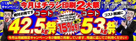 11月はチラシ印刷2大祭