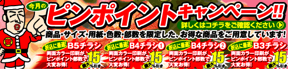 ピンポイントキャンペーン