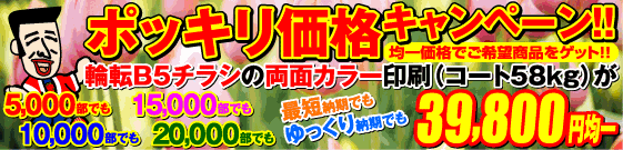 ポッキリ価格キャンペーン