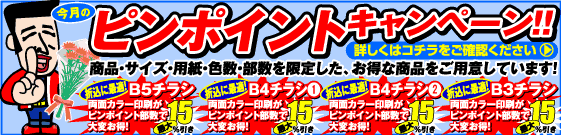 ピンポイントキャンペーン