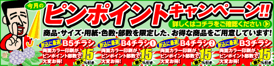 ピンポイントキャンペーン