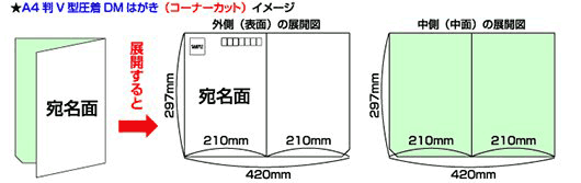 A4判V型圧着DMはがき（コーナーカット）