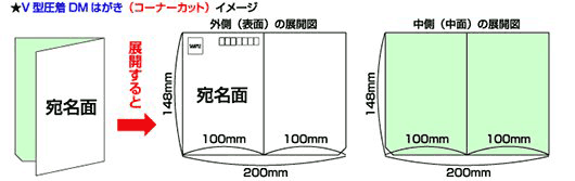 V型圧着DMはがき（コーナーカット）