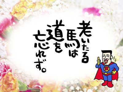 老いたる馬は道を忘れず安マン