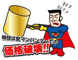 安マンプロフィールのハンマー画像